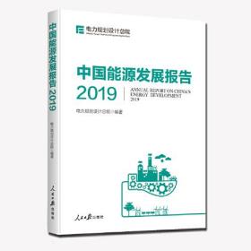 中国能源发展报告