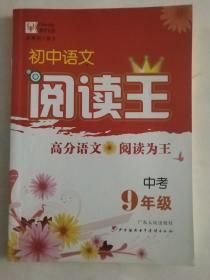 初中语文阅读王  中考（9年级）