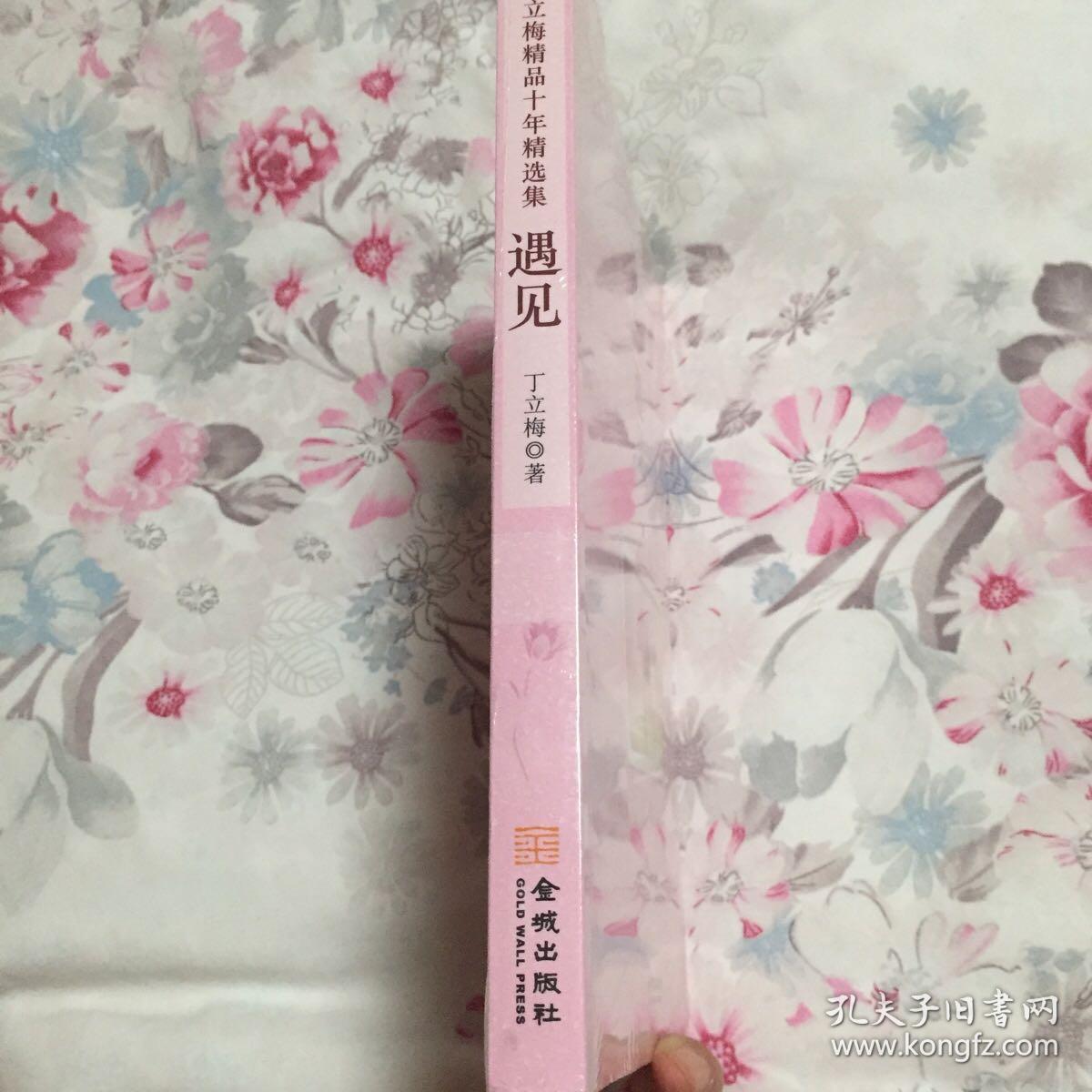 丁立梅作品十年精选集:遇见