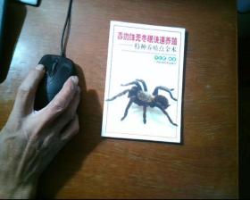 毒蜘蛛无冬眠快速养殖——特种养殖点金术