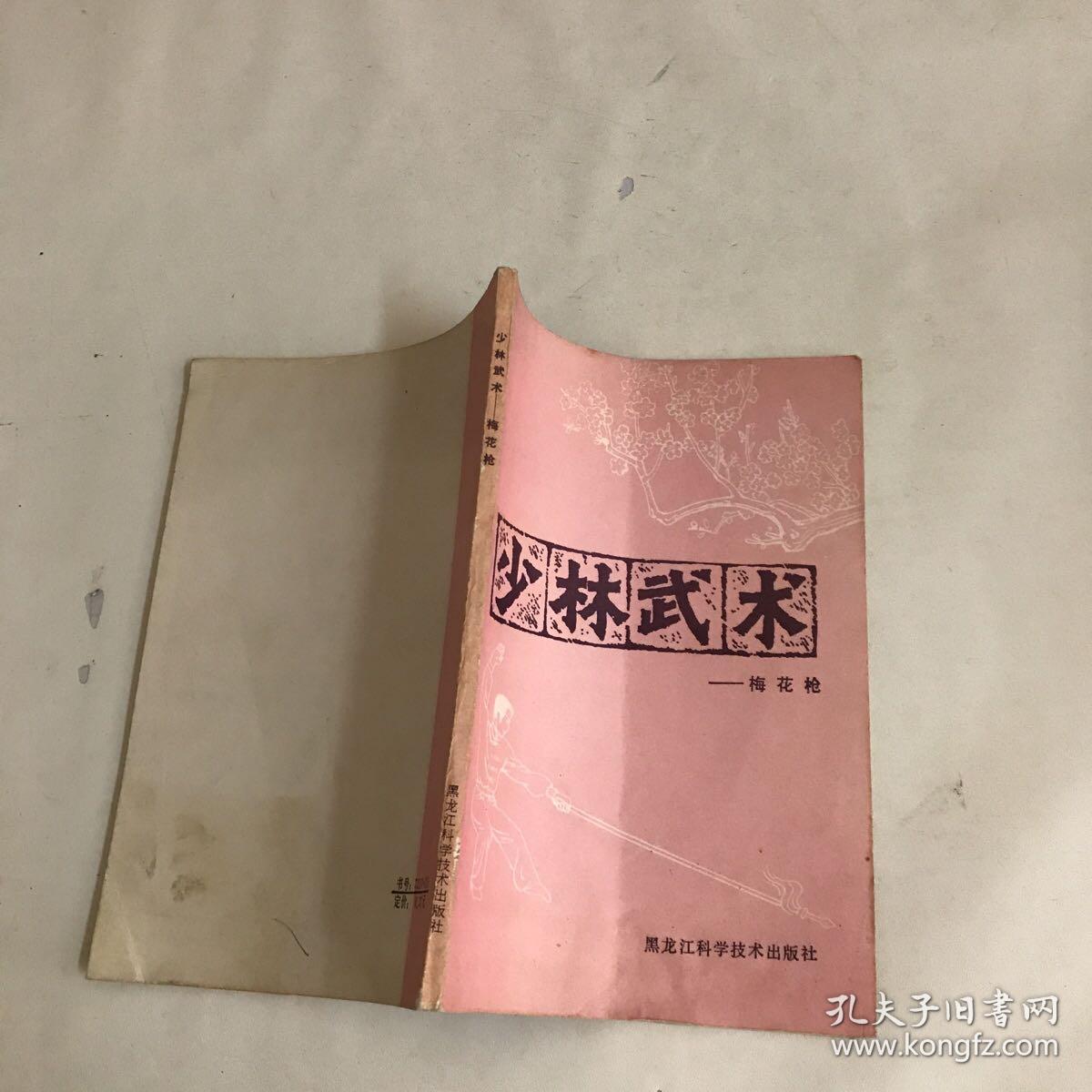 少林武术(梅花枪)