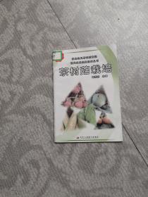 茶树菇栽培