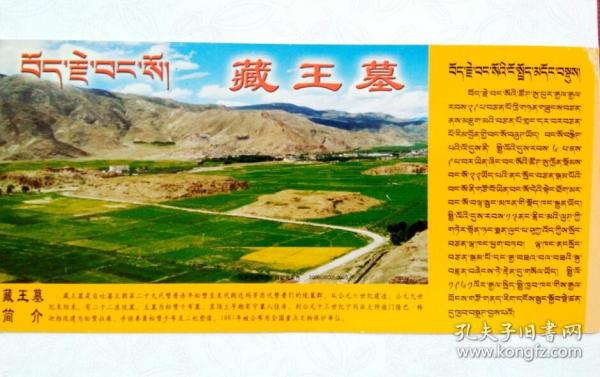 藏王墓门票(实寄邮资明信片 销西藏定日邮戳)