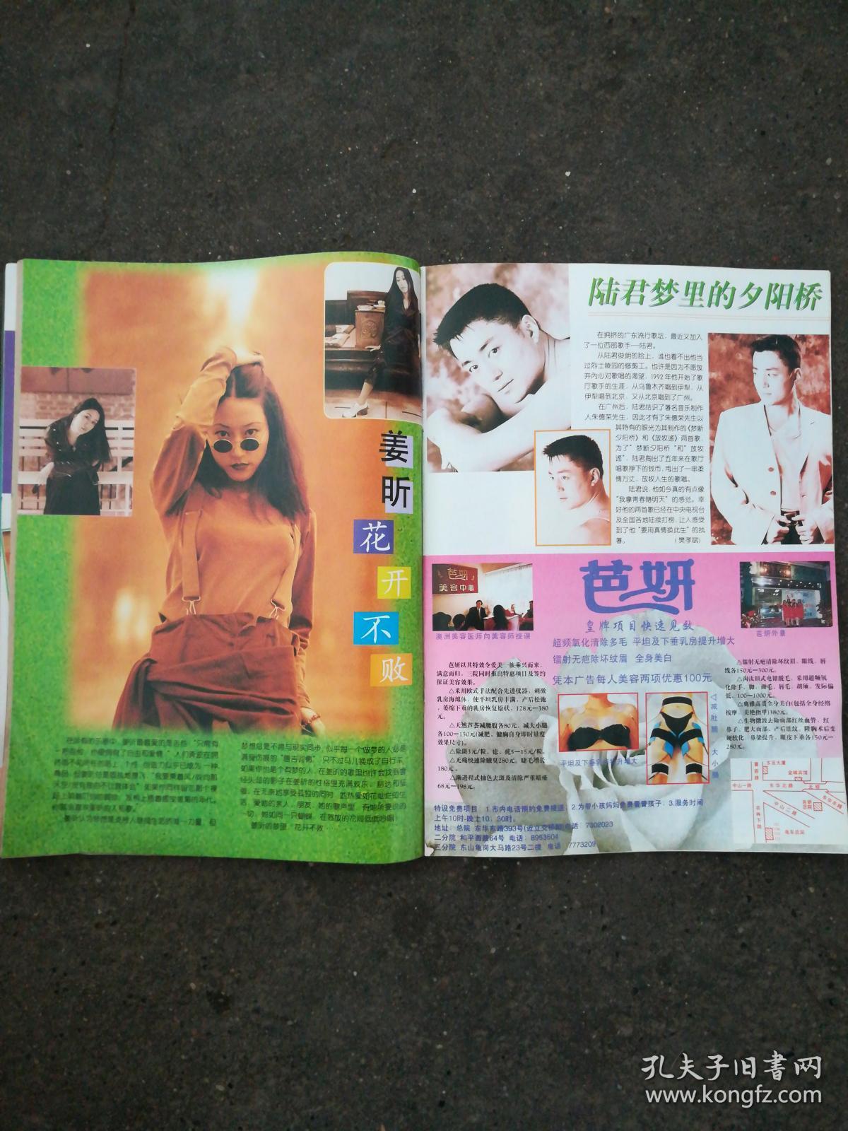 明星杂志-陈法蓉董文华梅婷陆毅安红巩俐杨丽萍沈丹萍张