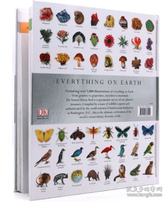 博物大百科全书the Natural History Book英文进口原版dk 自然史图解指南自然丛书英语 图书儿童读物大开植物动物图鉴物博精装 孔夫子旧书网
