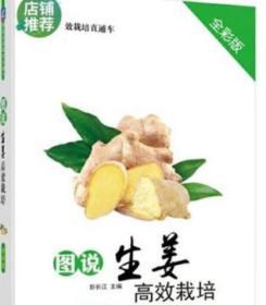 生姜种植技术大全生姜保护地高产栽培技术视频教程1光盘1书 孔夫子旧书网