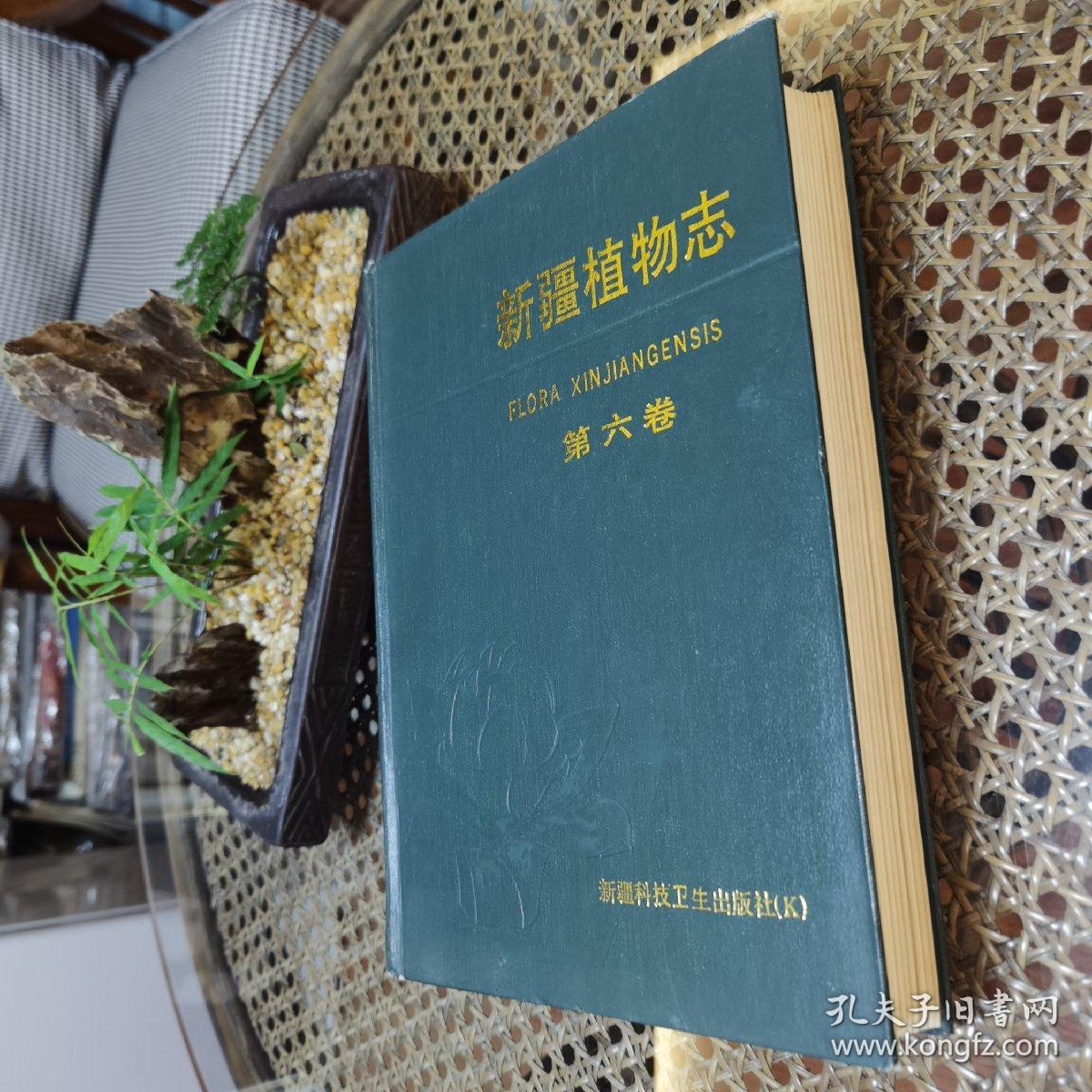 新疆植物志.第六卷.被子植物门 单子叶植物纲