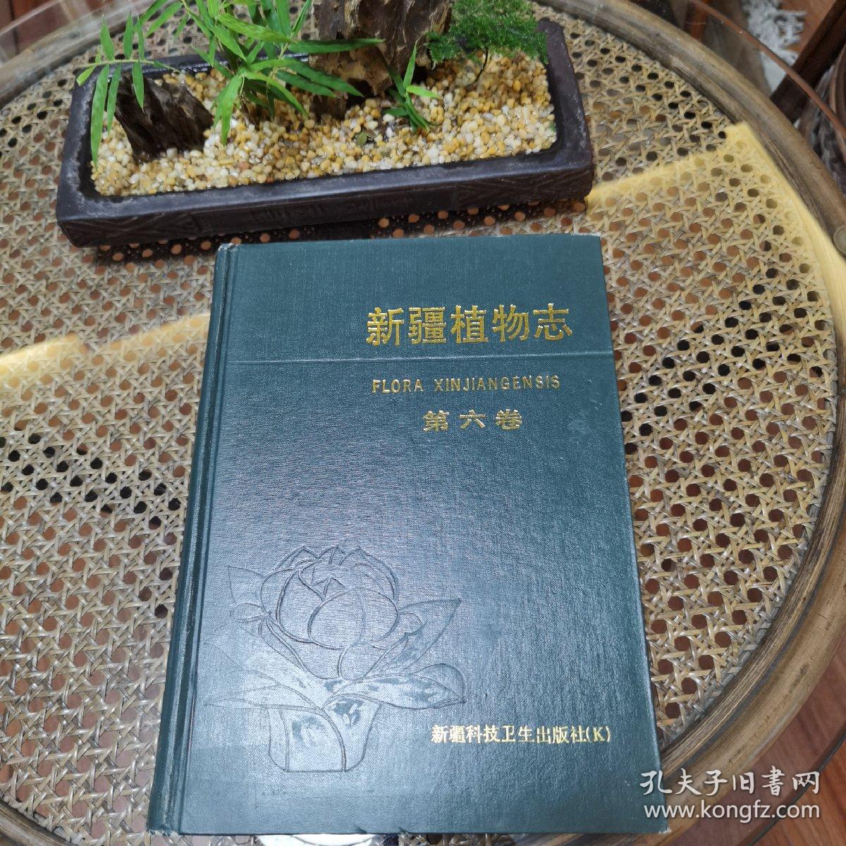 新疆植物志.第六卷.被子植物门 单子叶植物纲