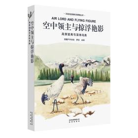 环喜马拉雅生态博物丛书·空中领主与掠浮艳影：高原猛禽与湿地鸟类