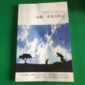 汤姆·索亚历险记