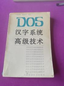 DOS汉字系统高级技术
