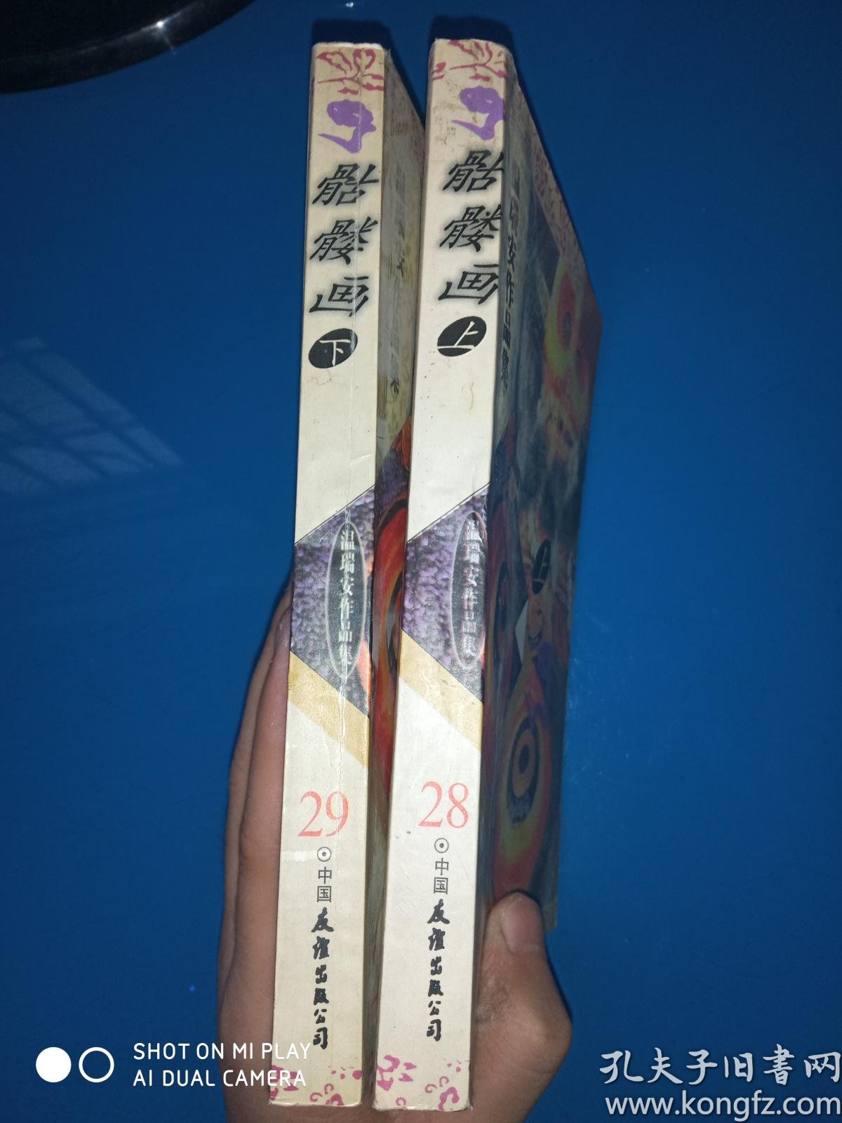 骷髅画:四大名捕系列