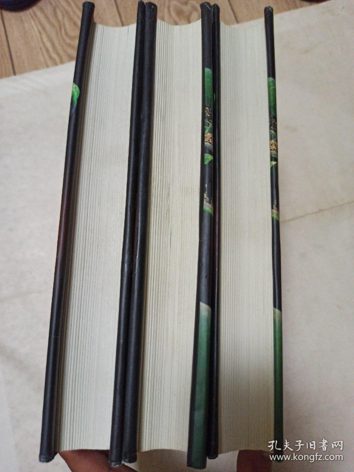 中华野史镜鉴(1-3卷全)