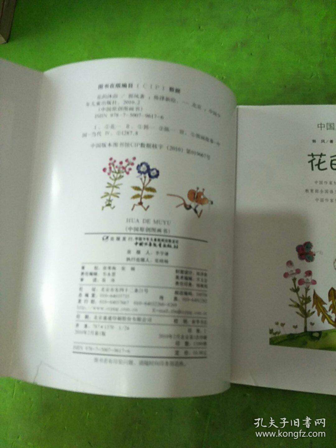 中国原创图画书 花的沐浴,岩石上的小蝌蚪 2本合售