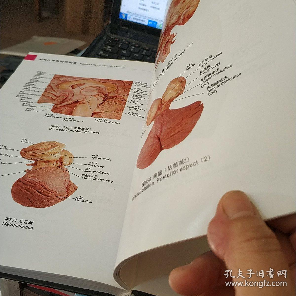 全彩人体解剖学图谱第2版