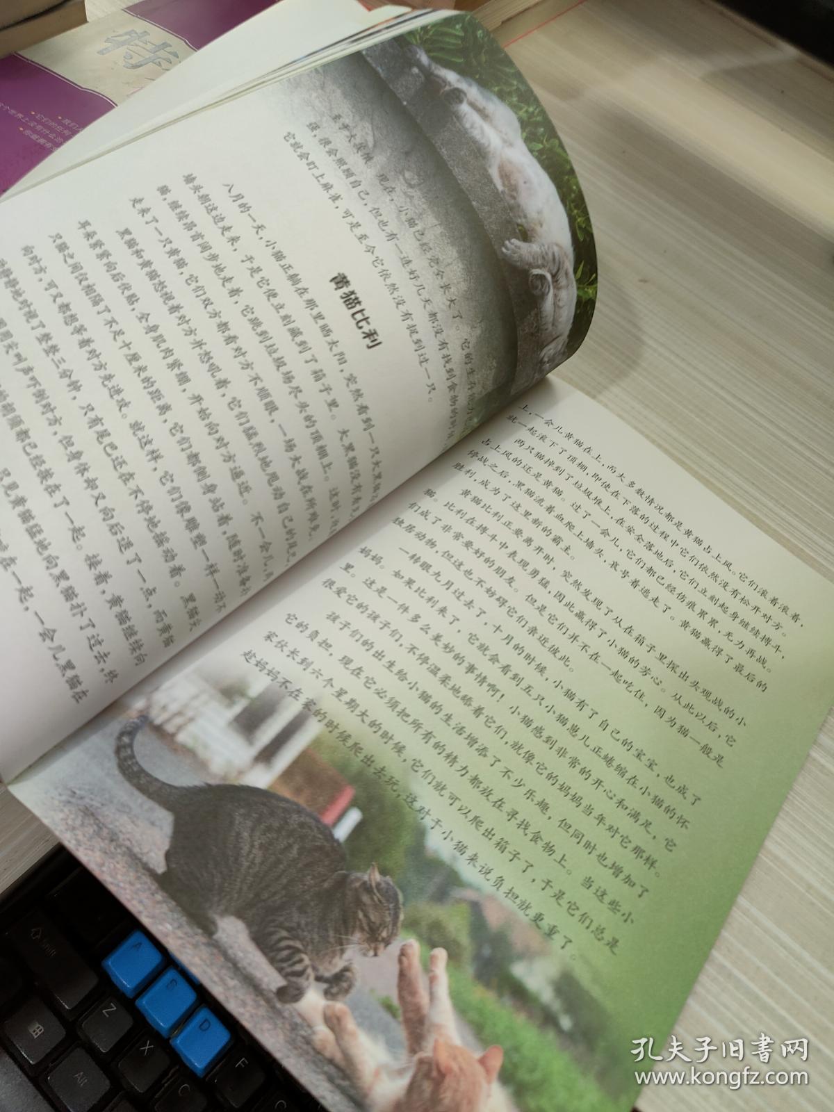 西顿动物记:狼王洛波(美图版)