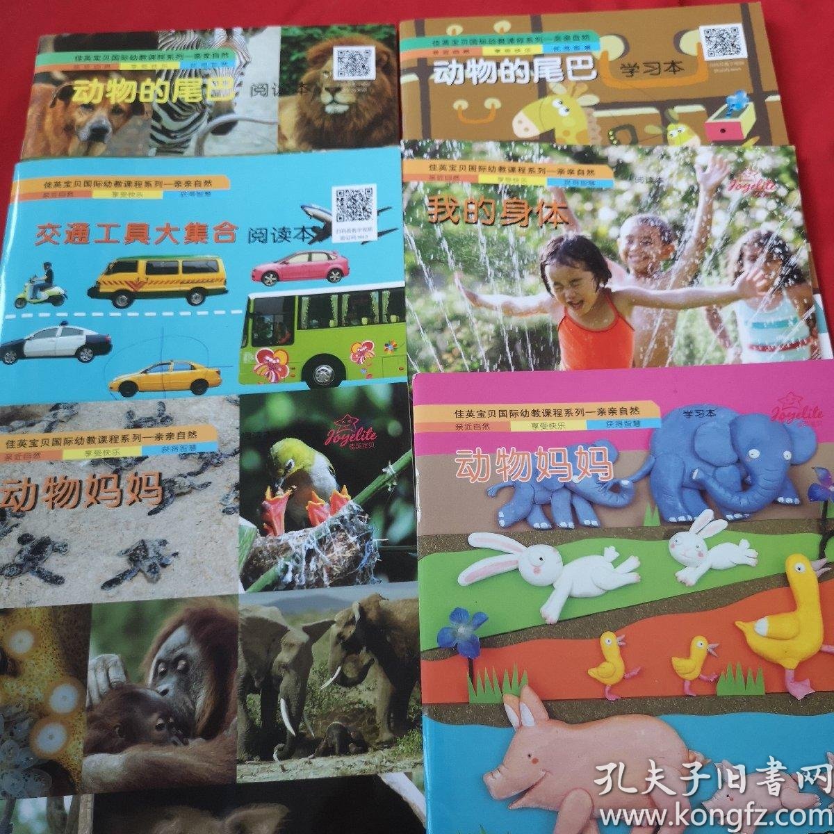 佳英宝贝国际幼教课程系列一亲亲自然【动物妈妈,动物妈妈,我的身体