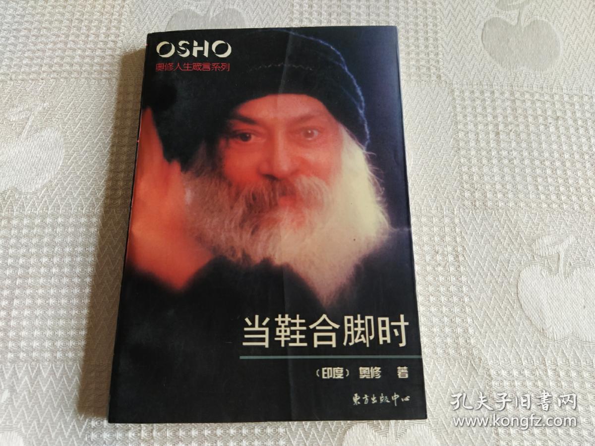 当鞋合脚时(奥修人生箴言系列)