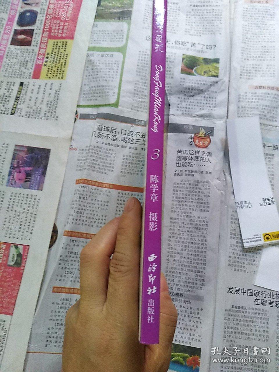 新东方面孔人体3