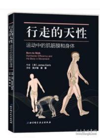 行走的天性 运动中的肌筋膜和身体 张少强主译 北京科学技术出版社