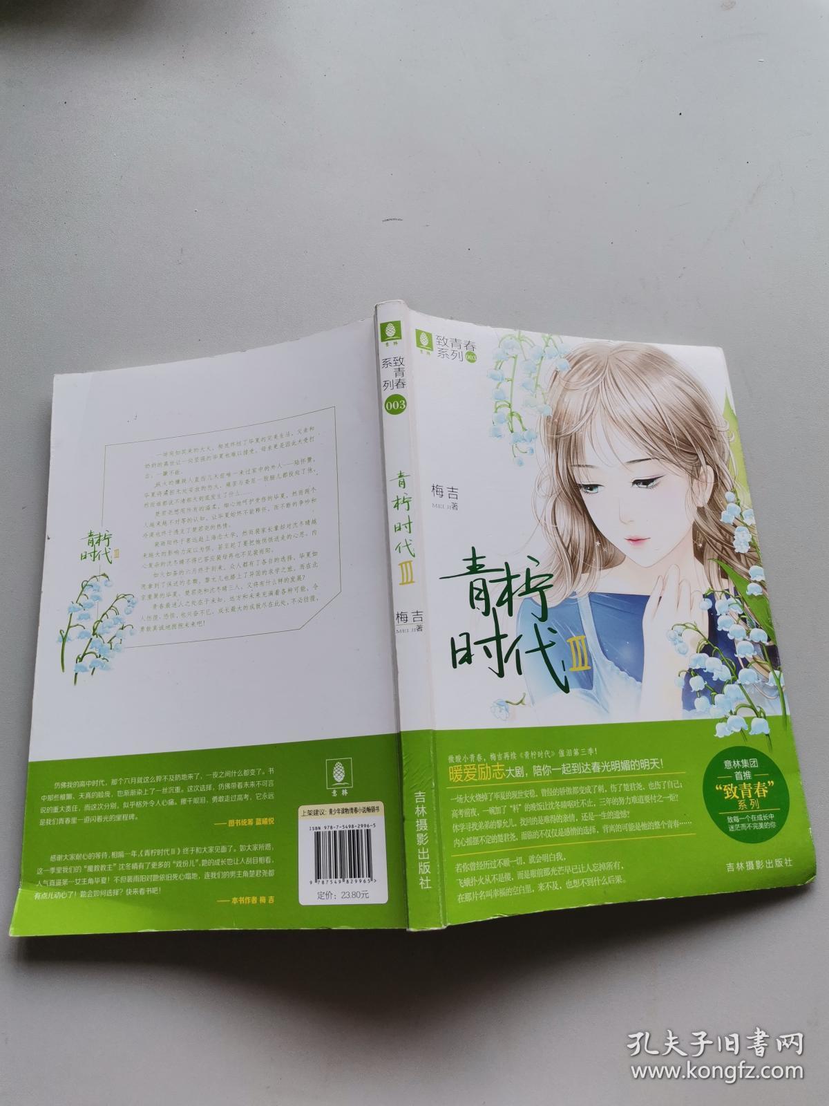 意林致青春系列3?青柠时代3