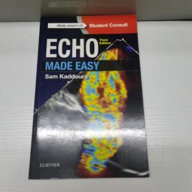 Echo made easy     Third Edition