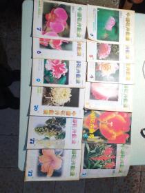 中国花卉盆景杂志。1999年1一12期全合售30元