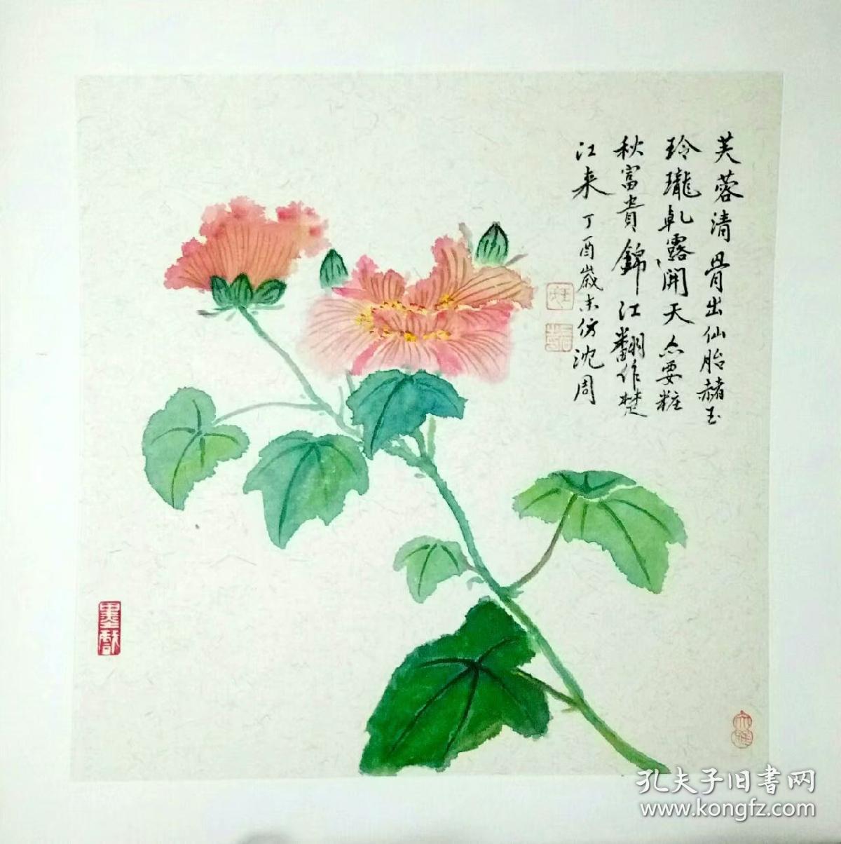 仿沈周芙蓉花