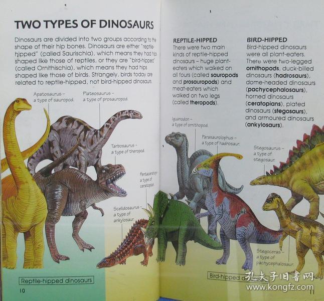 英文原版绘本dinosaurs恐龙