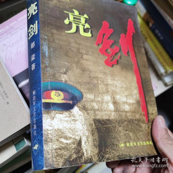 亮剑(都梁 著)_简介_价格_小说书籍_孔网
