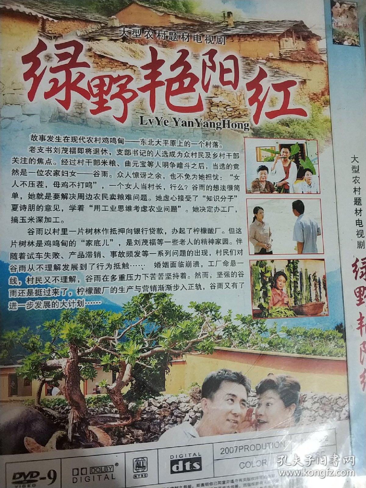 绿野艳阳红 dvd电视剧 陈小艺 赵毅主演