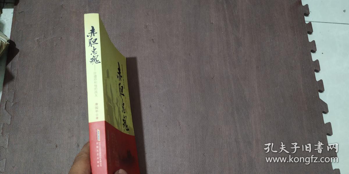 赤胆忠魂-许道珍和他的战友