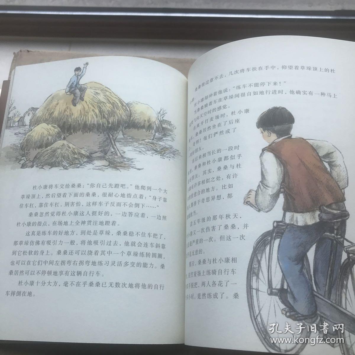 曹文轩画本—草房子·沉没的大红门