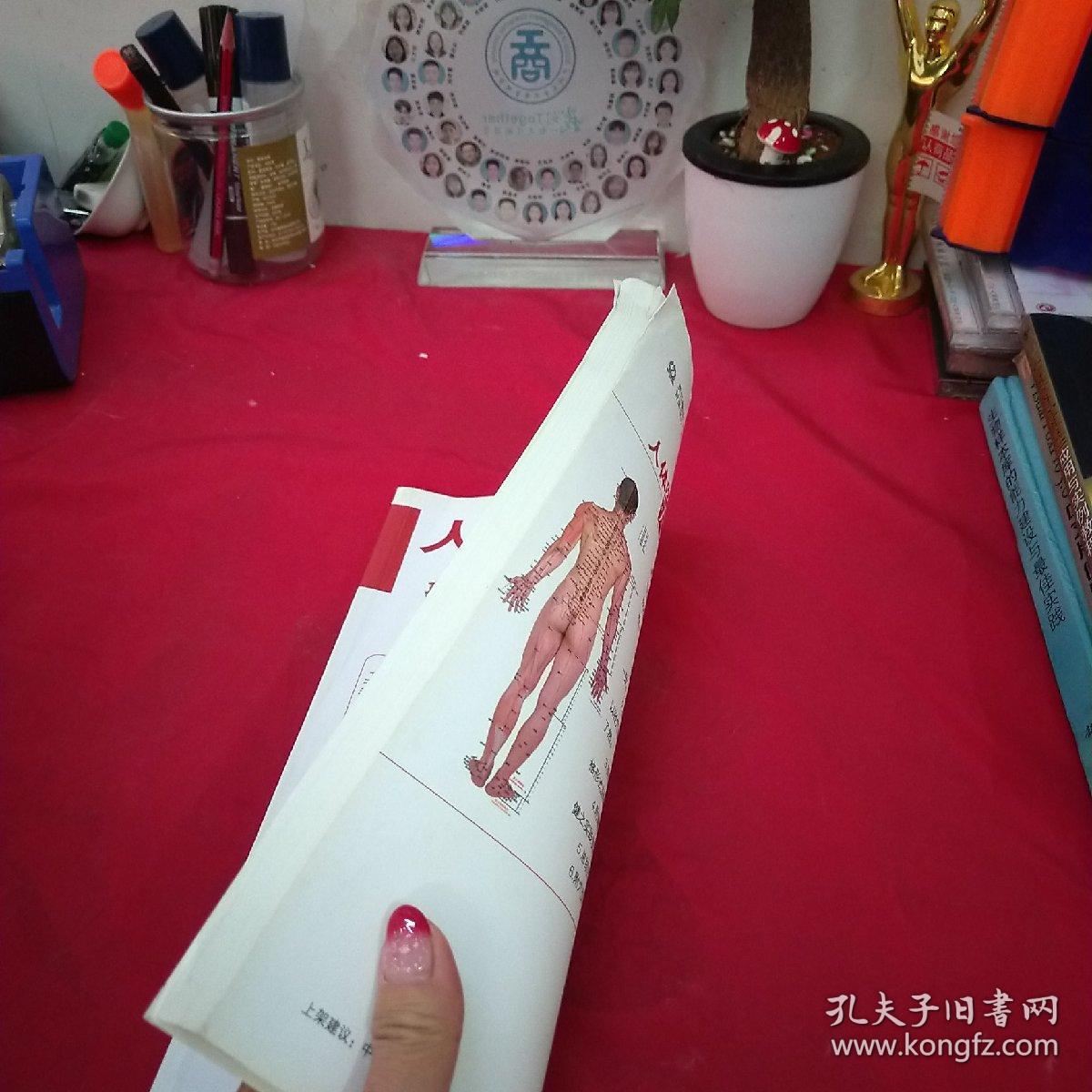 人体经络穴位图解最权威的专家讲解