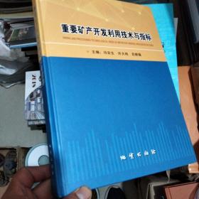 重要矿产开发利用技术与指标