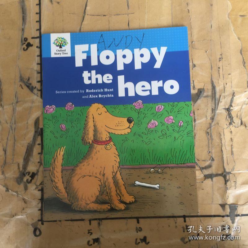 floppy the hero
