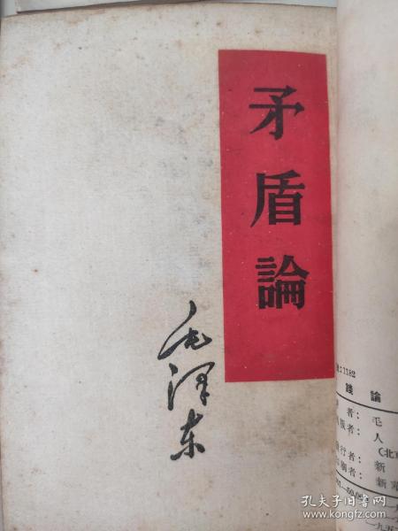 名人婚纱摄影官网(2)