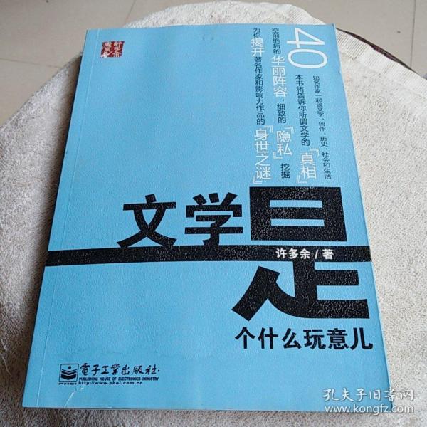 文学是个什么玩意儿许多余 著 电子工业出版社 2011欣恒书店安徽省阜阳市