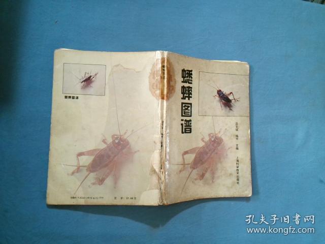 蟋蟀图谱
