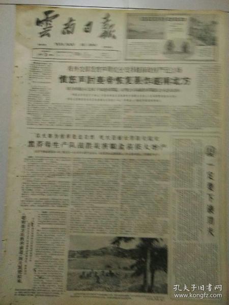 云南省人口与计划生育条例2021年_山沟里的计生(3)