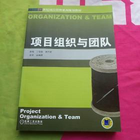 21世纪项目管理系列规划教材：项目组织与团队