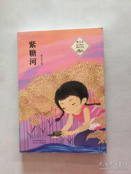 曹文芳 水乡童年精品书系—— 紫糖河