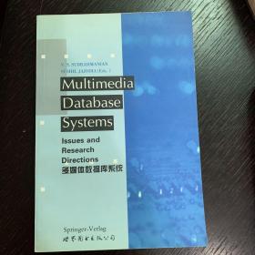 Multimedia database systems