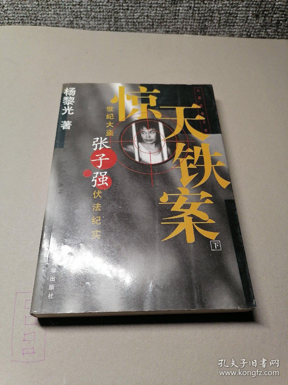 惊天铁案(下册)