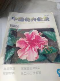 中国花卉盆景1999年3-------9期7本合售