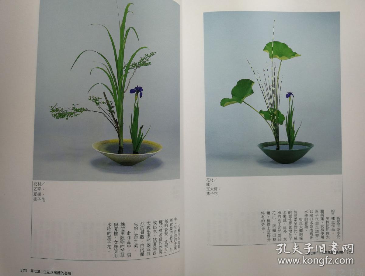 进阶学习生花 自由花 立花池坊教授三本合售 池坊 孔夫子旧书网 进阶学习生花 自由花 立花池坊教授三本合售 池坊 孔夫子旧书网