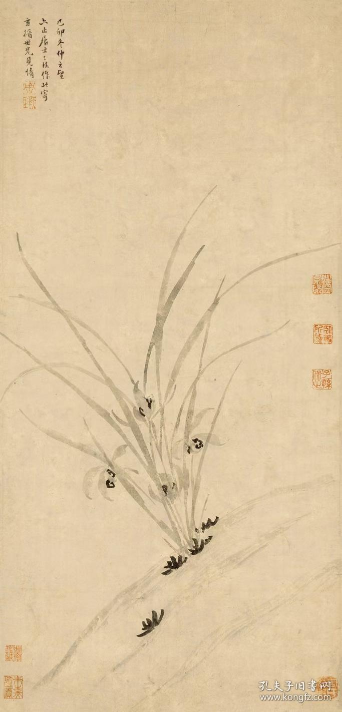 周天球 兰花图轴 .纸本大小24*50.15厘米.宣纸原色仿真.微喷复制