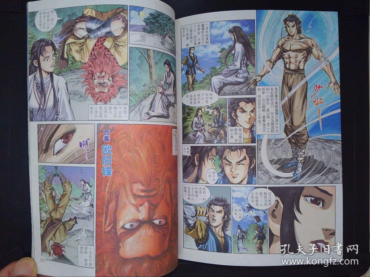 漫画神雕侠侣6