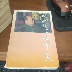 风雨情深将军