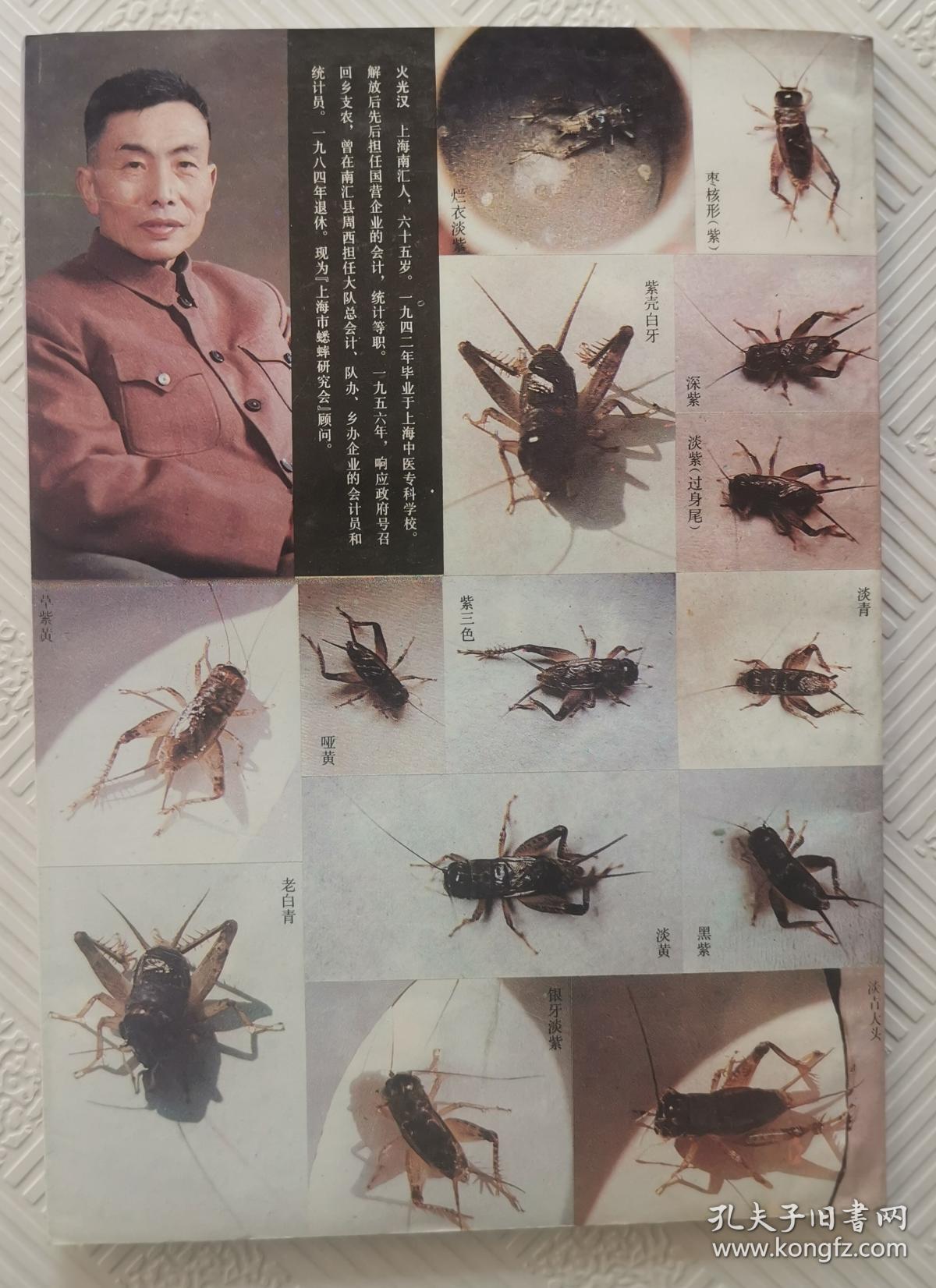 蟋蟀秘谱 60年经验谈 蟋蟀的选 养斗(两本合售)